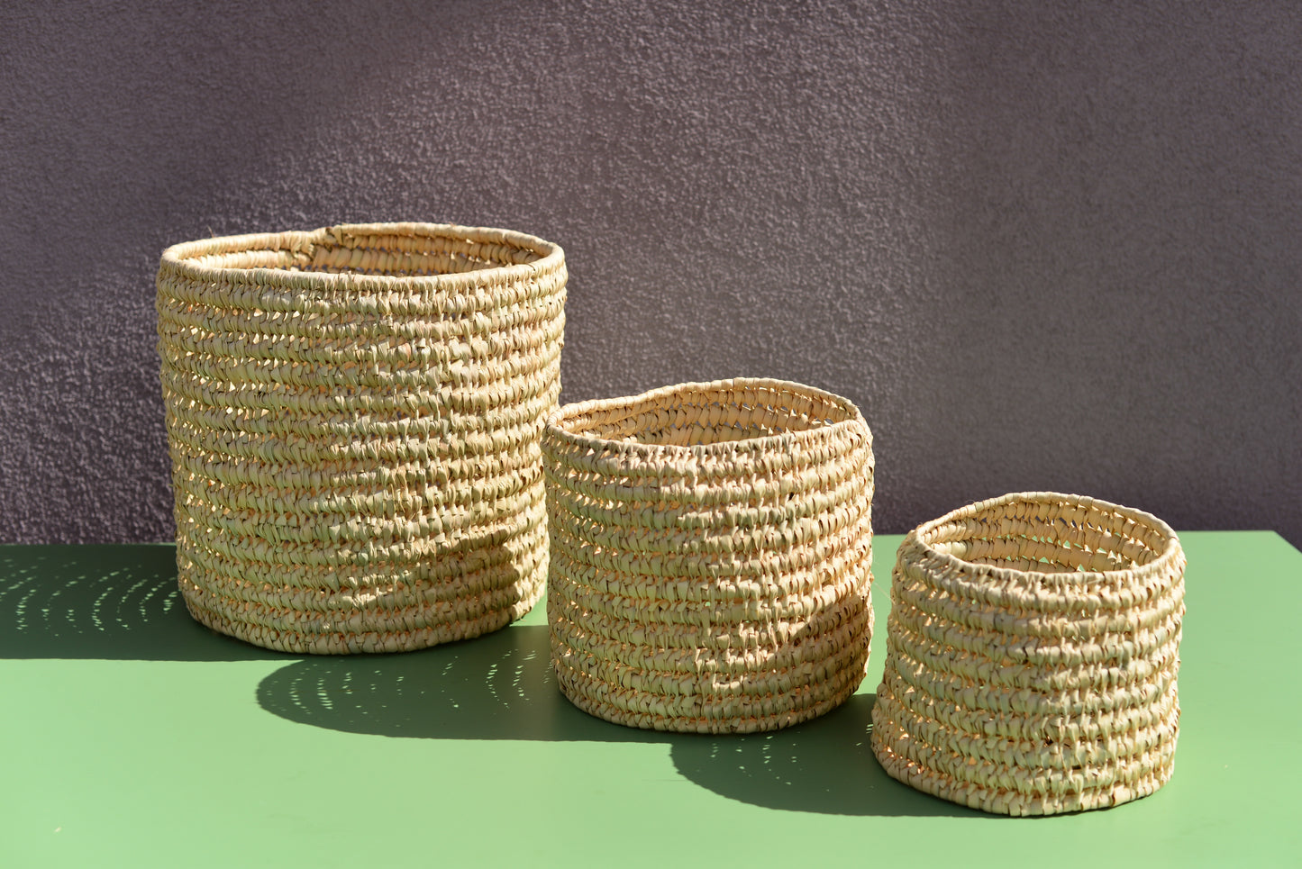 Cache-pot en palmier nain 17 cm