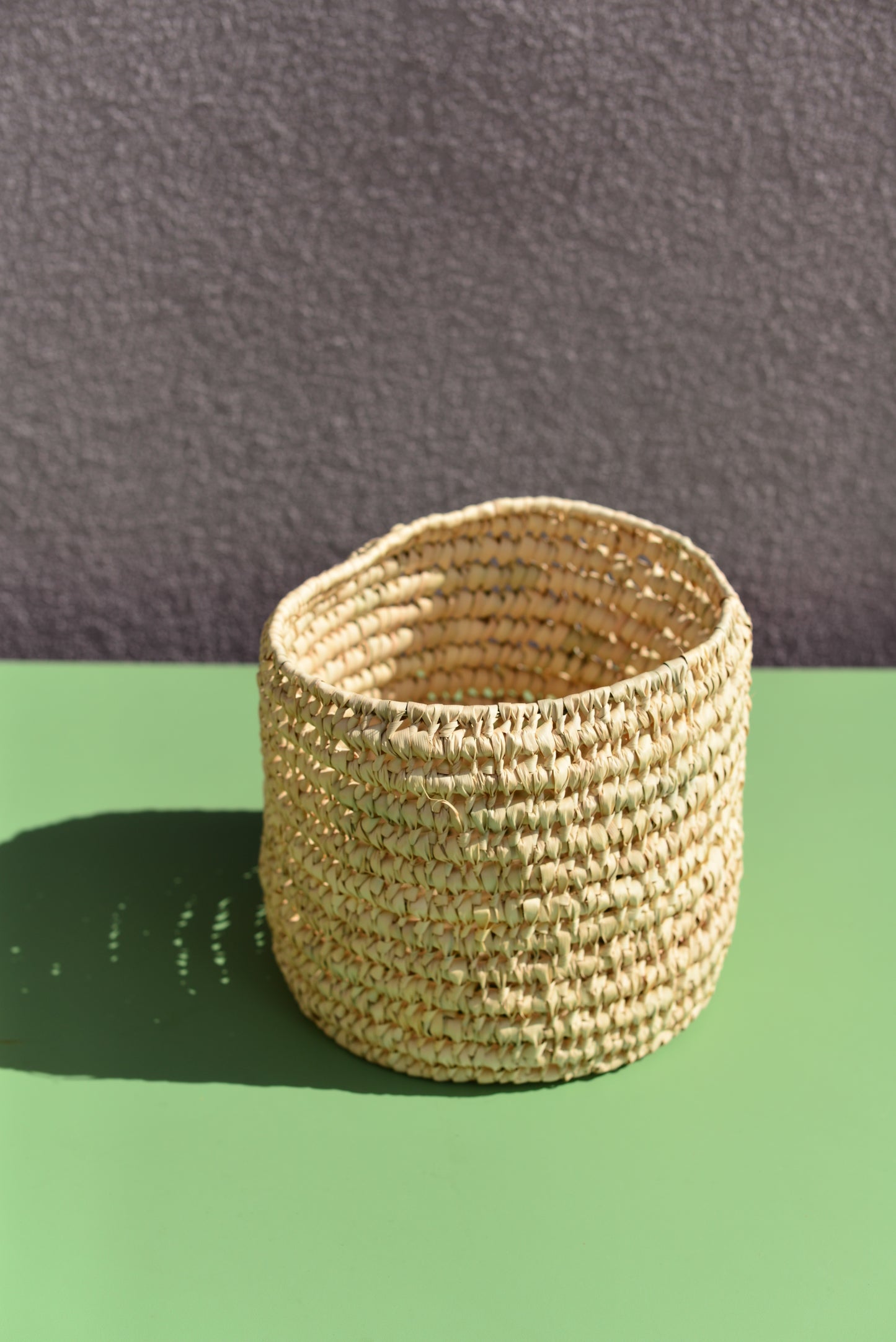 Cache-pot en palmier nain 17 cm