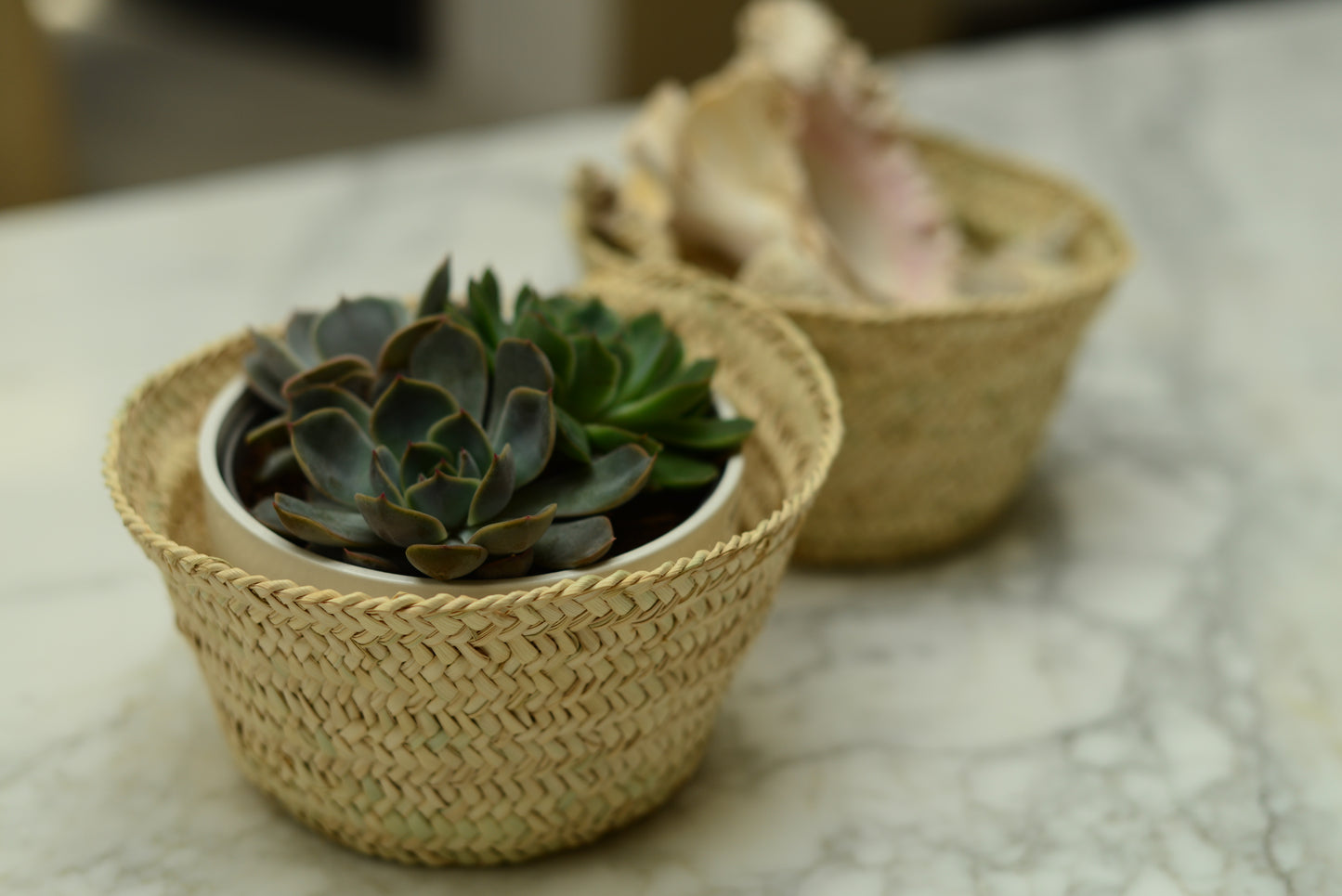 Petit cache-pot en jonc