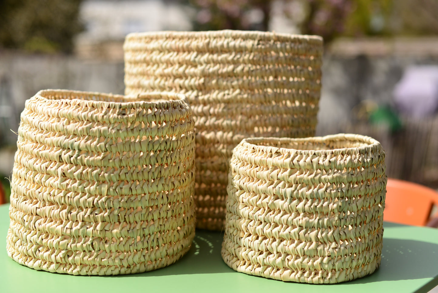 Cache-pot en palmier nain 17 cm