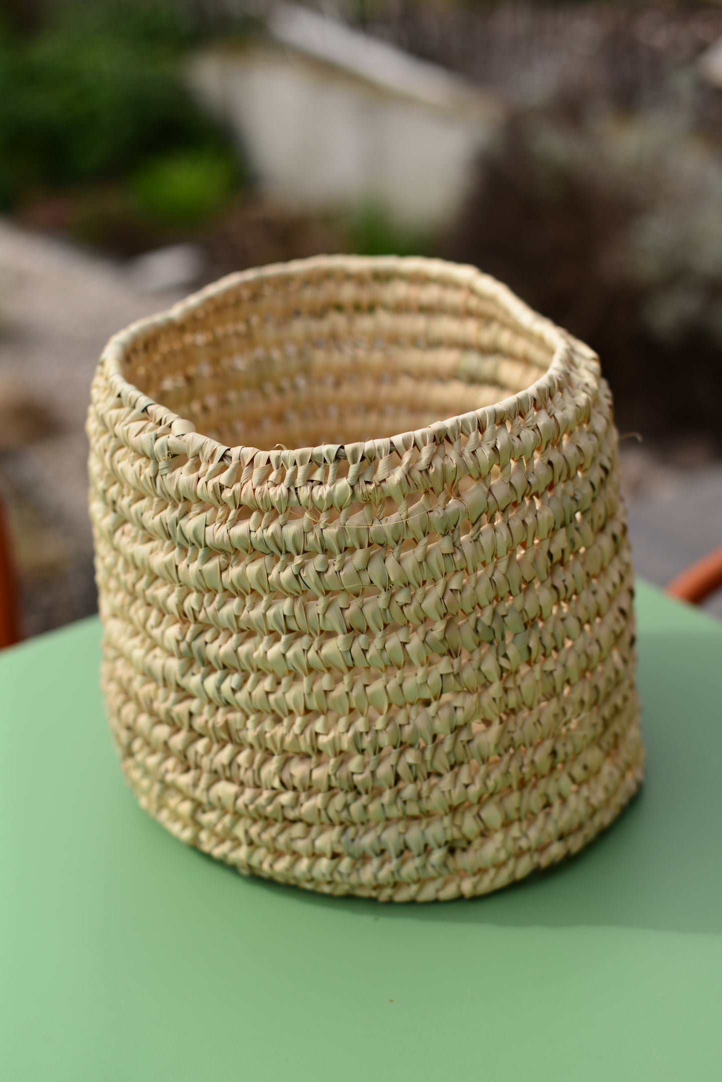 Cache-pot en palmier nain 23 cm