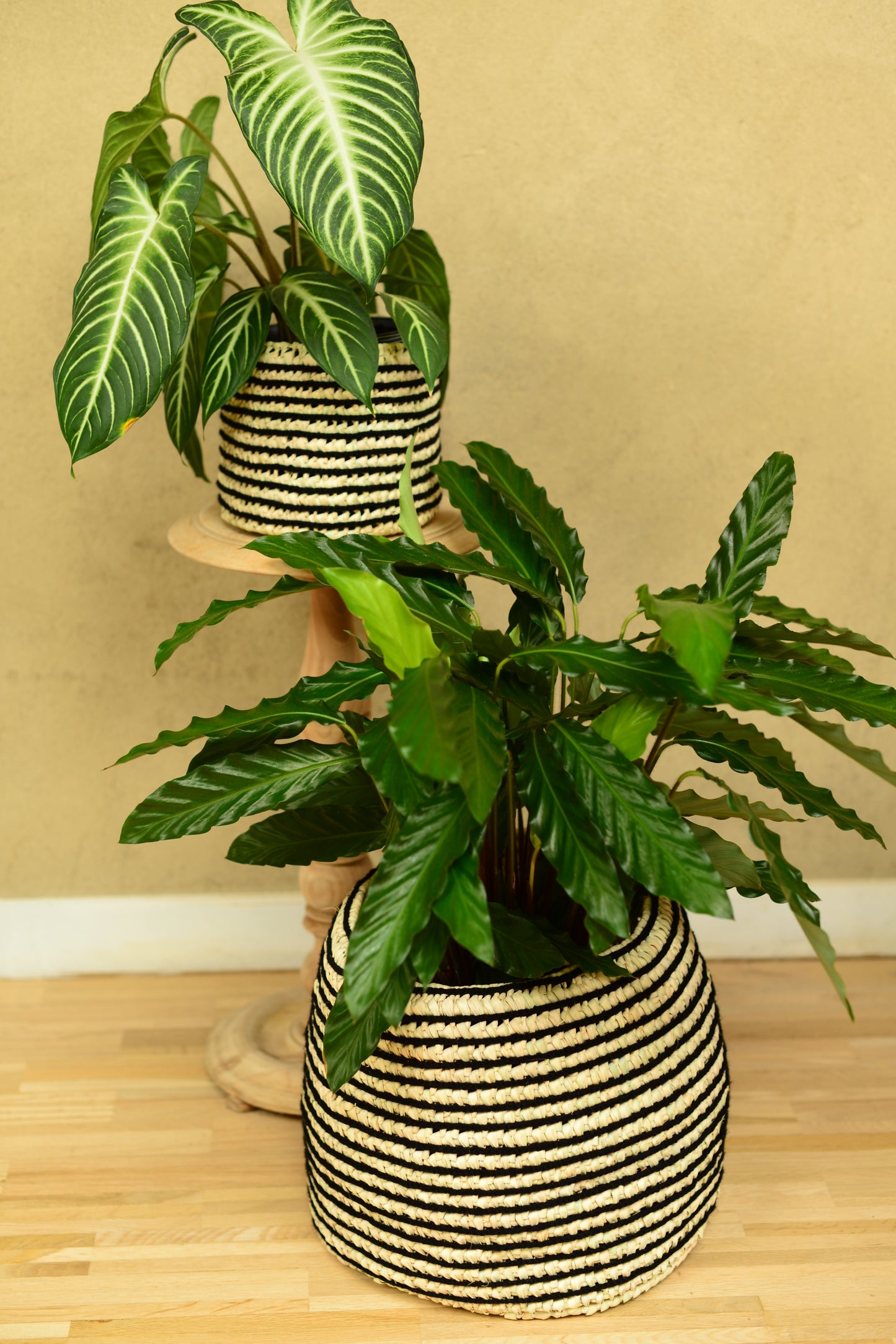 Cache-pot en palmier et en laine noire 16,5 cm