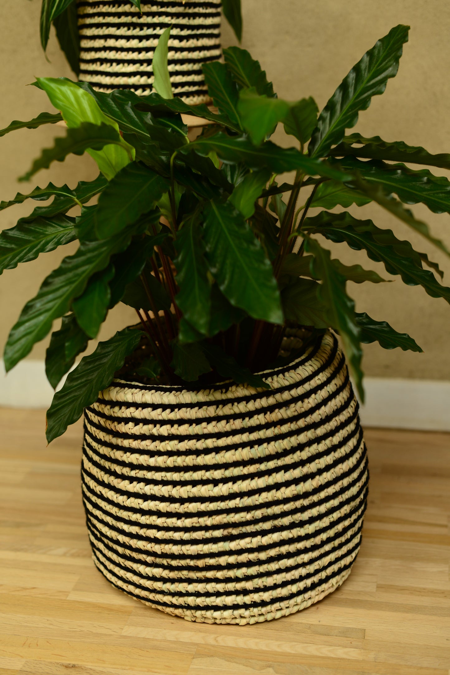 Cache-pot en palmier et laine noire 26 cm