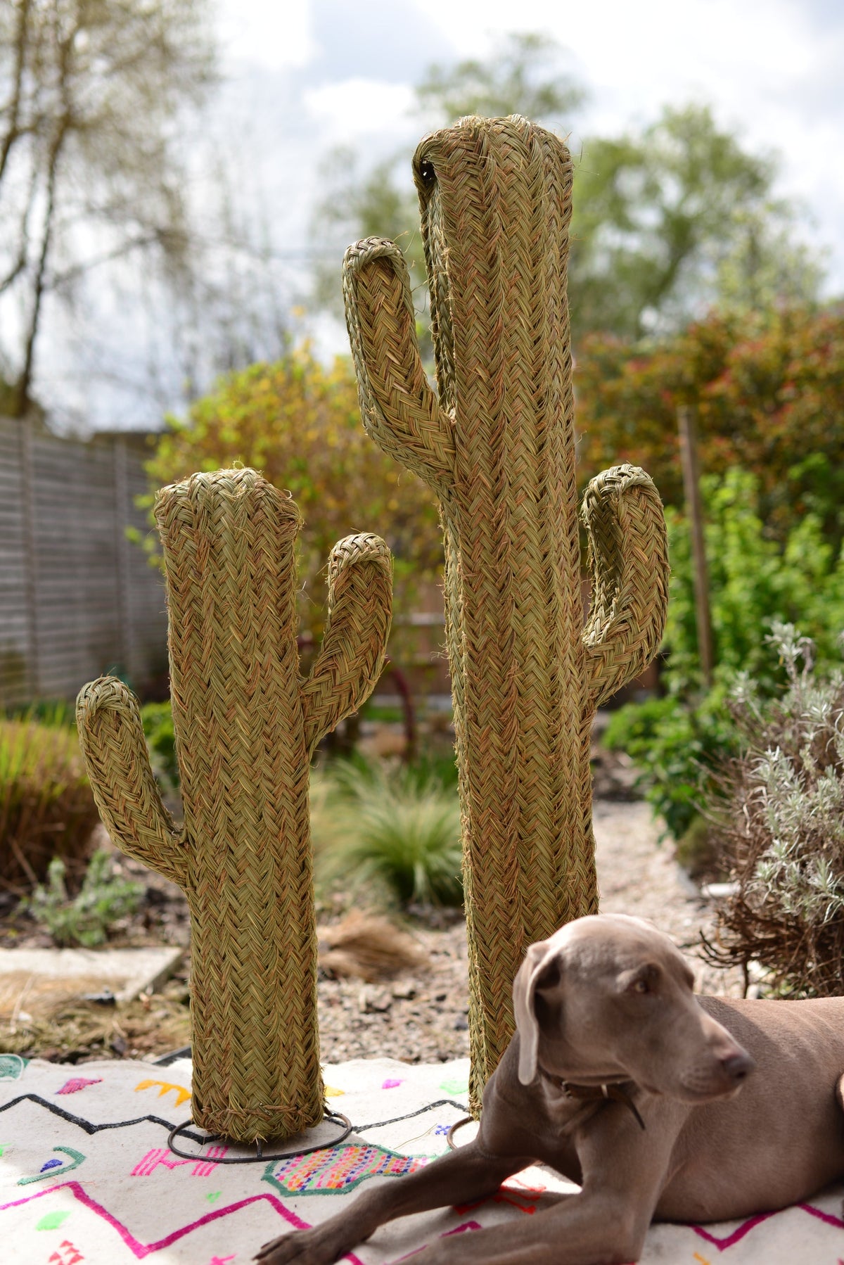 Cactus décoratif 120 cm, vue de profil avec armature en fer forgé